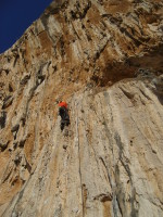 SNV80481.JPG